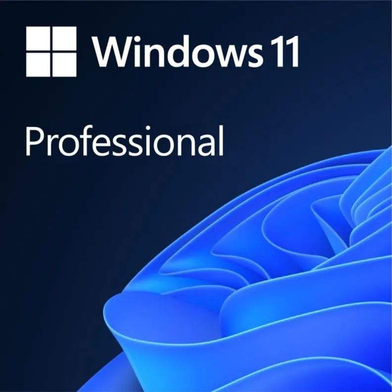 Лицензия Microsoft OEM Windows 11 Pro 64 bit Russian 1pk DSP OEI DVD