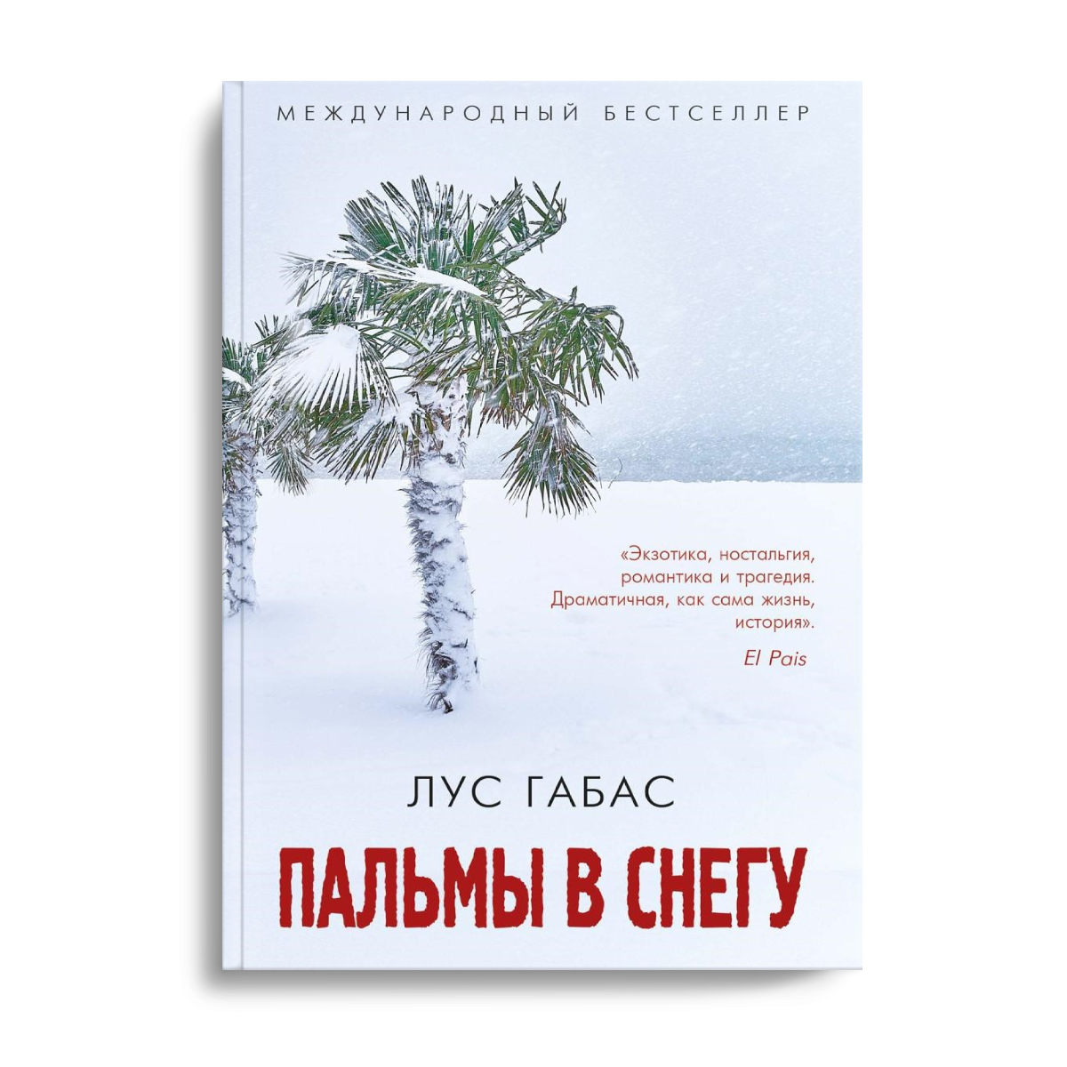 Пальмы в снегу