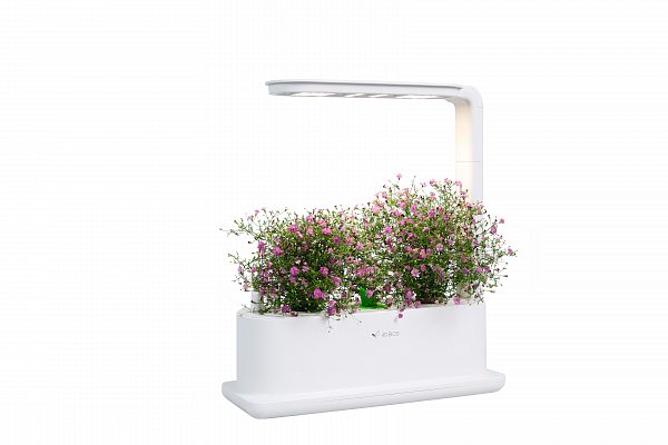 Настольная садовая ферма VitaFerma 575278 4D BIOS, Настольная садовая ферма VitaFerma 4D BIOS
Настольная садовая ферма VitaFerma 575278 4D BIOS, Настольная садовая ферма VitaFerma 4D BIOS