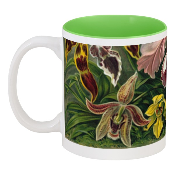 фото Кружка printio цветная внутри орхидеи (orchideae, ernst haeckel)