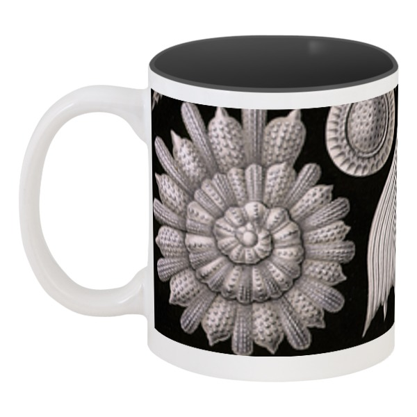 фото Кружка printio цветная внутри глобигерины (globigerina, ernst haeckel)