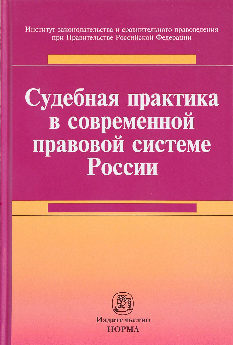 фото Книга судебная практика в современной правовой системе россии : монография норма