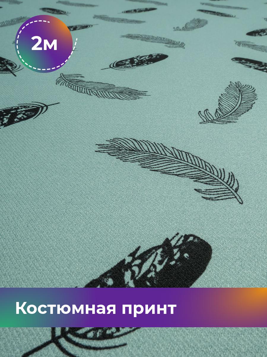 Ткань Костюмная принт Рококо Shilla, отрез 2 м * 150 см, мультиколор 020, Бирюзовый, 17999390
Ткань Костюмная принт Рококо Shilla, отрез 2 м * 150 см, мультиколор 020, Бирюзовый, 17999390