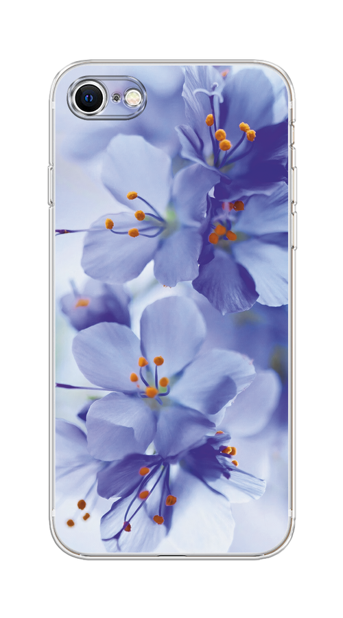 Чехол на Apple iPhone 7/8/SE 2020/SE 2022 "Фиолетовые цветки", Фиолетовый;синий, 14850-1
Чехол на Apple iPhone 7/8/SE 2020/SE 2022 "Фиолетовые цветки", Фиолетовый;синий, 14850-1