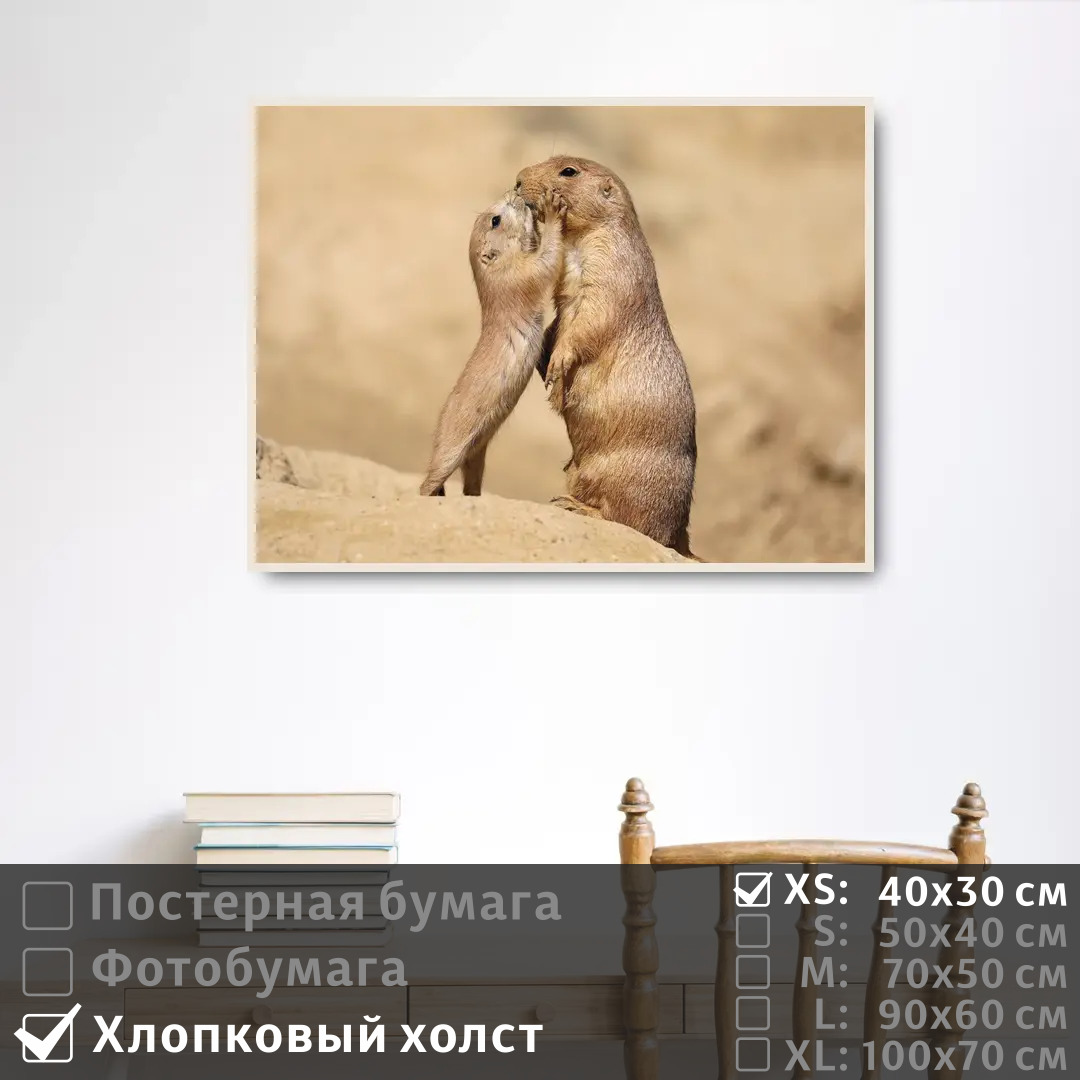 Постер на холсте ПолиЦентр Ребенок суриката целует свою маму 40х30 см, РебенокСурикатаЦелуетСвоюМаму
Постер на холсте ПолиЦентр Ребенок суриката целует свою маму 40х30 см, РебенокСурикатаЦелуетСвоюМаму