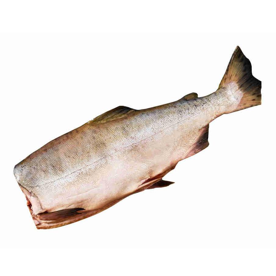 Толстолобик охлажденный без головы +-2 кг
Толстолобик охлажденный без головы +-2 кг