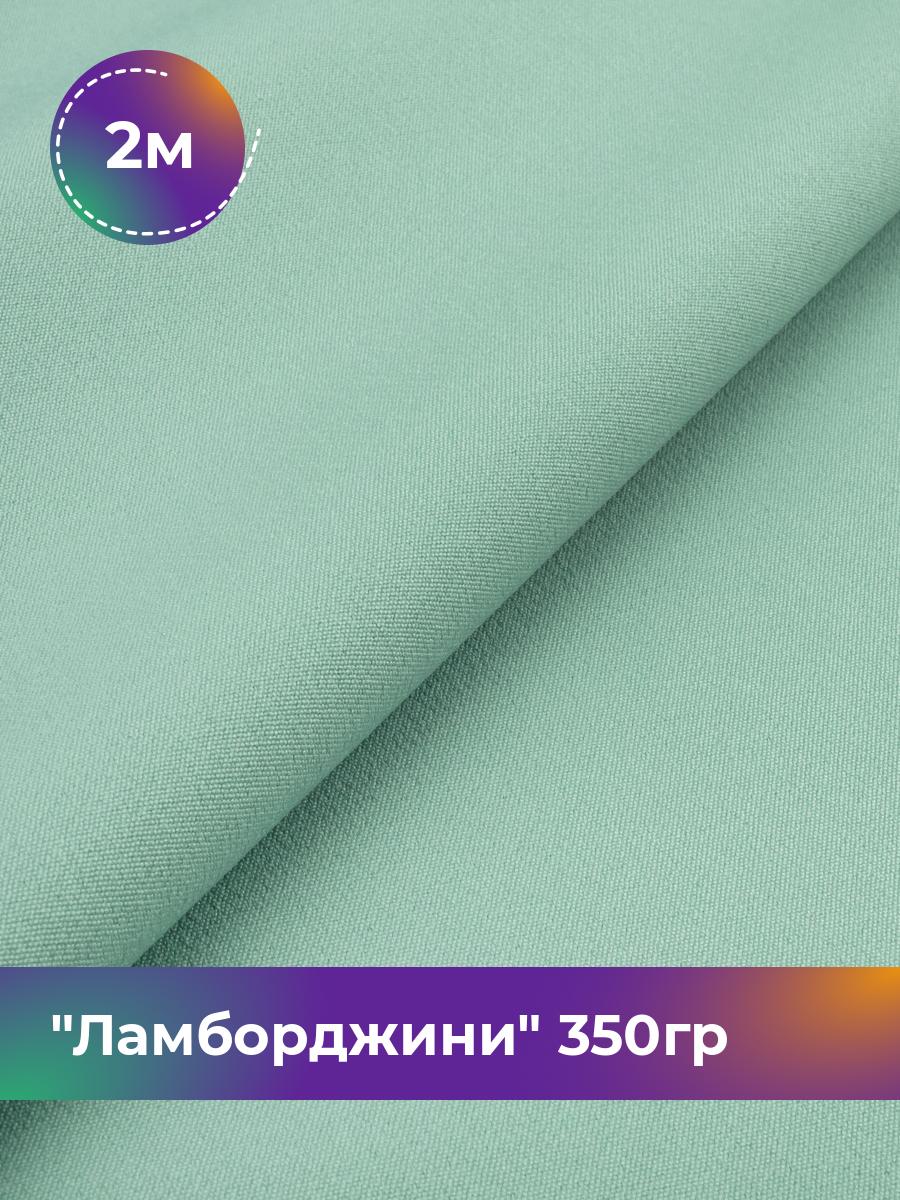 Ткань Ламборджини 350гр Shilla, отрез 2 м * 150 см, фисташковый 059, Зеленый, 8694060
Ткань Ламборджини 350гр Shilla, отрез 2 м * 150 см, фисташковый 059, Зеленый, 8694060