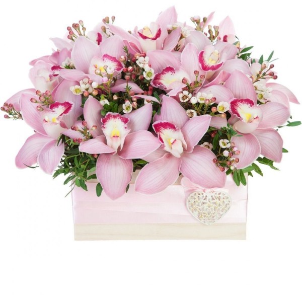 Орхидея Фаленопсис в коробке
Орхидея Фаленопсис в коробке