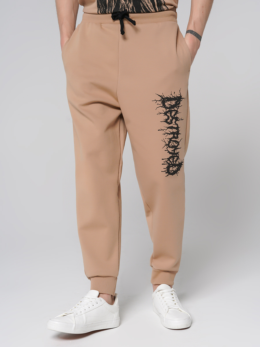 Спортивные брюки мужские ТВОЕ 87876 бежевые L, 87876 
Спортивные брюки мужские ТВОЕ 87876 бежевые L, 87876