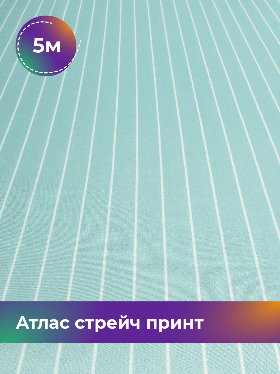 Ткань Атлас стрейч принт Shilla, отрез 5 м * 150 см, фисташковый 040, Зеленый, 17930640
Ткань Атлас стрейч принт Shilla, отрез 5 м * 150 см, фисташковый 040, Зеленый, 17930640