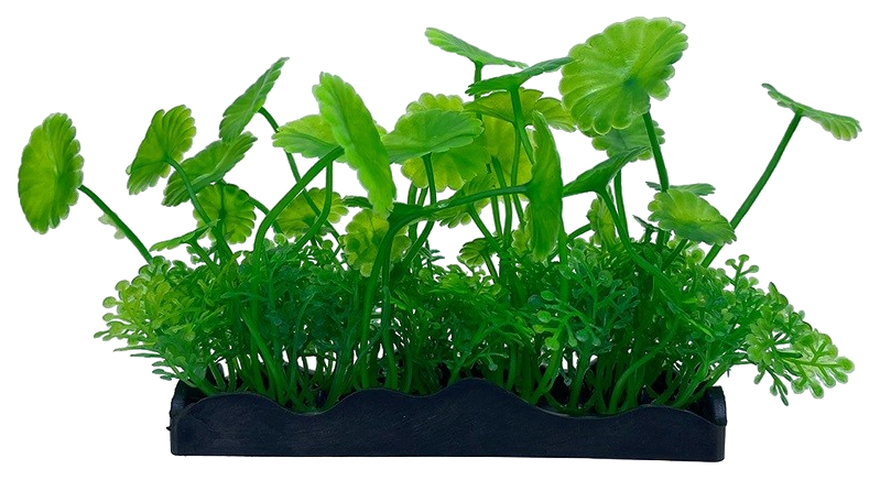 Искусственное растение для аквагрунта, Ripoma, 12х10 см, Зеленый;черный 
Искусственное растение для аквагрунта, Ripoma, 12х10 см, Зеленый;черный