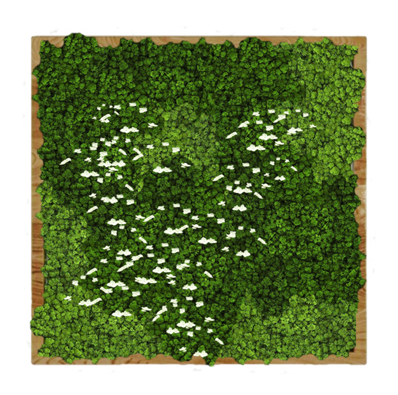 Панно 120х120см для интерьера GardenGo из натурального стабилизированного мха, 29
Панно 120х120см для интерьера GardenGo из натурального стабилизированного мха, 29