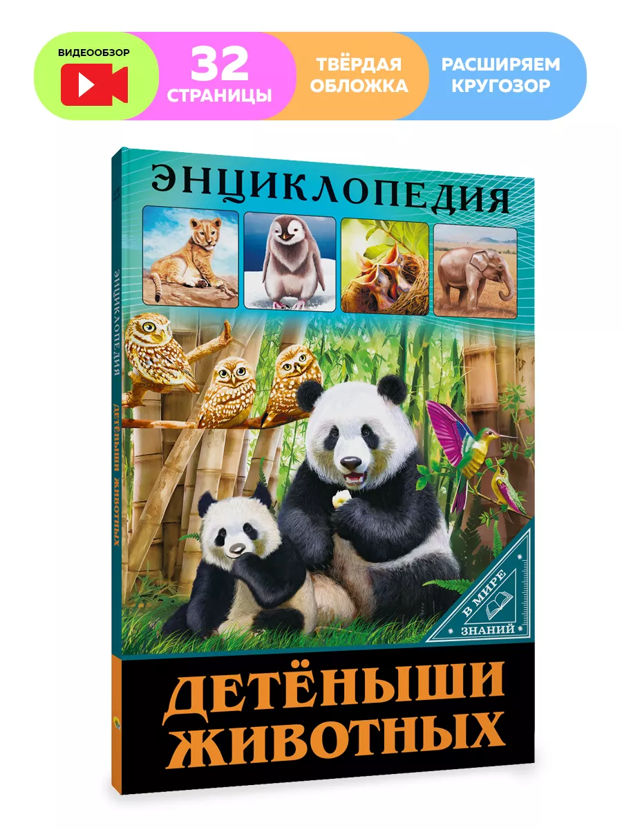 Детская энциклопедия В мире знаний. Детеныши животных, Детская энциклопедия В мире знаний
Детская энциклопедия В мире знаний. Детеныши животных, Детская энциклопедия В мире знаний