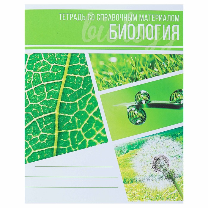 Тетрадь предметная "Коллаж", 48 листов в клетку "Биология" со справочным материалом, облож
Тетрадь предметная "Коллаж", 48 листов в клетку "Биология" со справочным материалом, облож