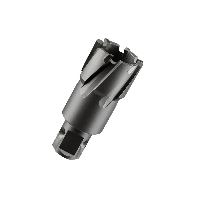 Фреза GARWIN INDUSTRIAL 102840-50 кольц. 50мм тс WELDON/NITTO Ф19,05мм TCT гл-на Lap35мм
Фреза GARWIN INDUSTRIAL 102840-50 кольц. 50мм тс WELDON/NITTO Ф19,05мм TCT гл-на Lap35мм