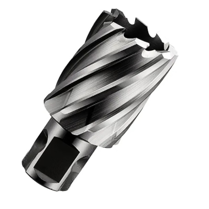 Фреза GARWIN INDUSTRIAL 102805-25 кольц. 25мм WELDON/NITTO Ф19,05мм HSS гл-на Lap25мм
Фреза GARWIN INDUSTRIAL 102805-25 кольц. 25мм WELDON/NITTO Ф19,05мм HSS гл-на Lap25мм