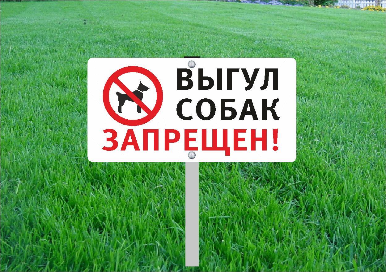 Табличка на стойке-топпер Выгул собак запрещён 40х20см, Белый;красный;черный, Выгул собак запрещён
Табличка на стойке-топпер Выгул собак запрещён 40х20см, Белый;красный;черный, Выгул собак запрещён