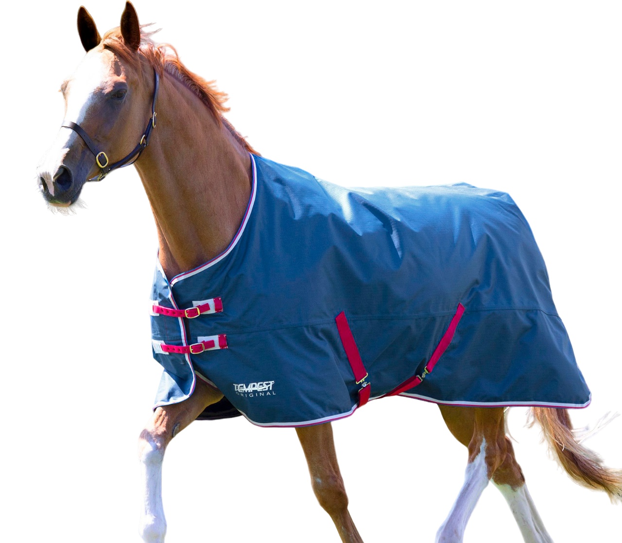SHIRES SHIRES TEMPEST Попона прогулочная для лошади Original Lite, 600D, 0g, 150, чирок, Синий, Original Lite
SHIRES SHIRES TEMPEST Попона прогулочная для лошади Original Lite, 600D, 0g, 150, чирок, Синий, Original Lite