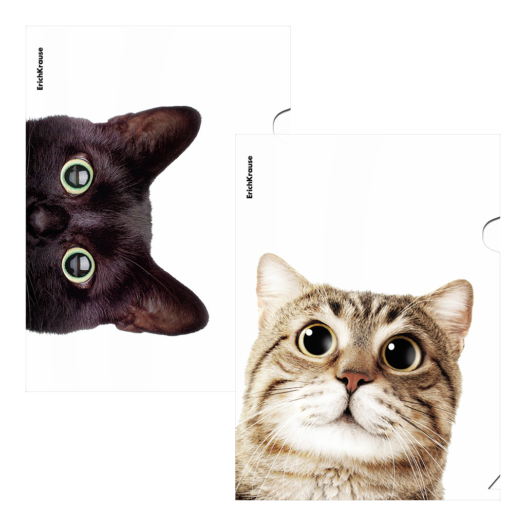 Папка-уголок пластиковая ErichKrause Hiding Cats 61139, A4, ассорти в пакете по 12 шт, Прозрачный
Папка-уголок пластиковая ErichKrause Hiding Cats 61139, A4, ассорти в пакете по 12 шт, Прозрачный