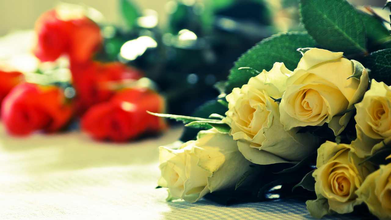 Картина на холсте LinxOne 60x110 Природа пейзаж натура флора 
Картина на холсте LinxOne 60x110 Природа пейзаж натура флора