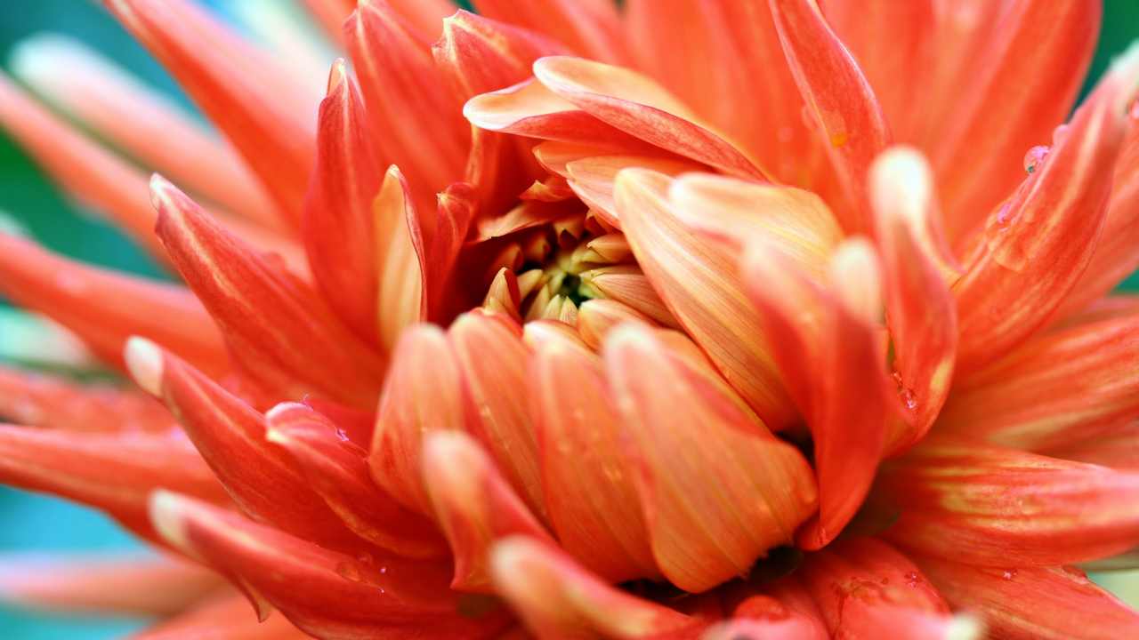 Картина на холсте LinxOne 60x110 Природа пейзаж натура флора
Картина на холсте LinxOne 60x110 Природа пейзаж натура флора