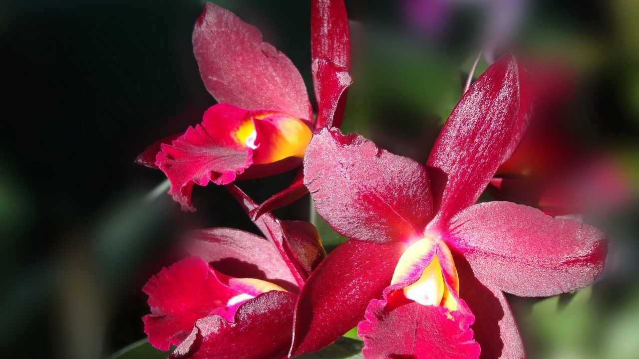 Картина на холсте LinxOne 60x110 Природа пейзаж натура флора
Картина на холсте LinxOne 60x110 Природа пейзаж натура флора