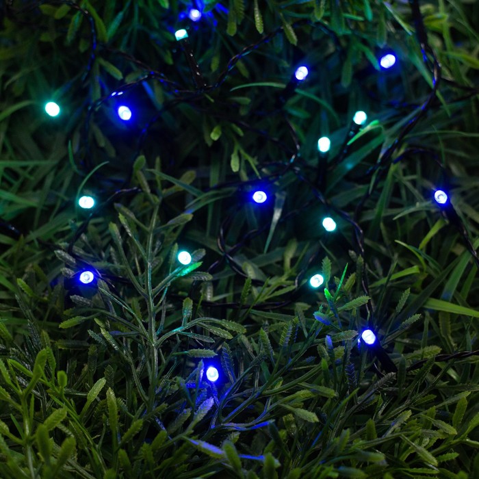 Световая гирлянда новогодняя Luazon Lighting нить 6253326 5 м синий; голубой, нить
Световая гирлянда новогодняя Luazon Lighting нить 6253326 5 м синий; голубой, нить