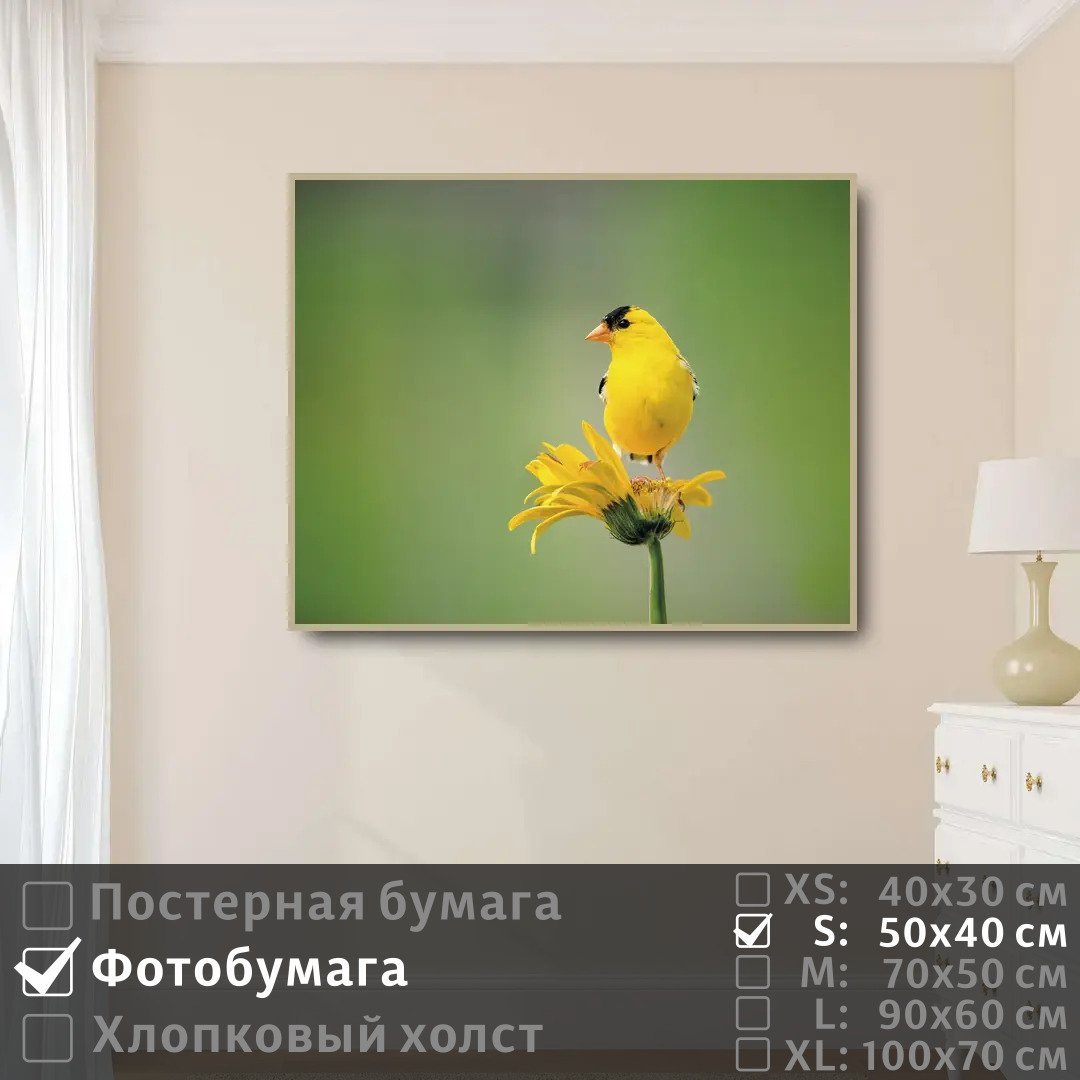Постер на фотобумаге ПолиЦентр Птичка желтая сидит на цветке 50х40 см, ПтичкаЖелтаяСидитНаЦветке
Постер на фотобумаге ПолиЦентр Птичка желтая сидит на цветке 50х40 см, ПтичкаЖелтаяСидитНаЦветке