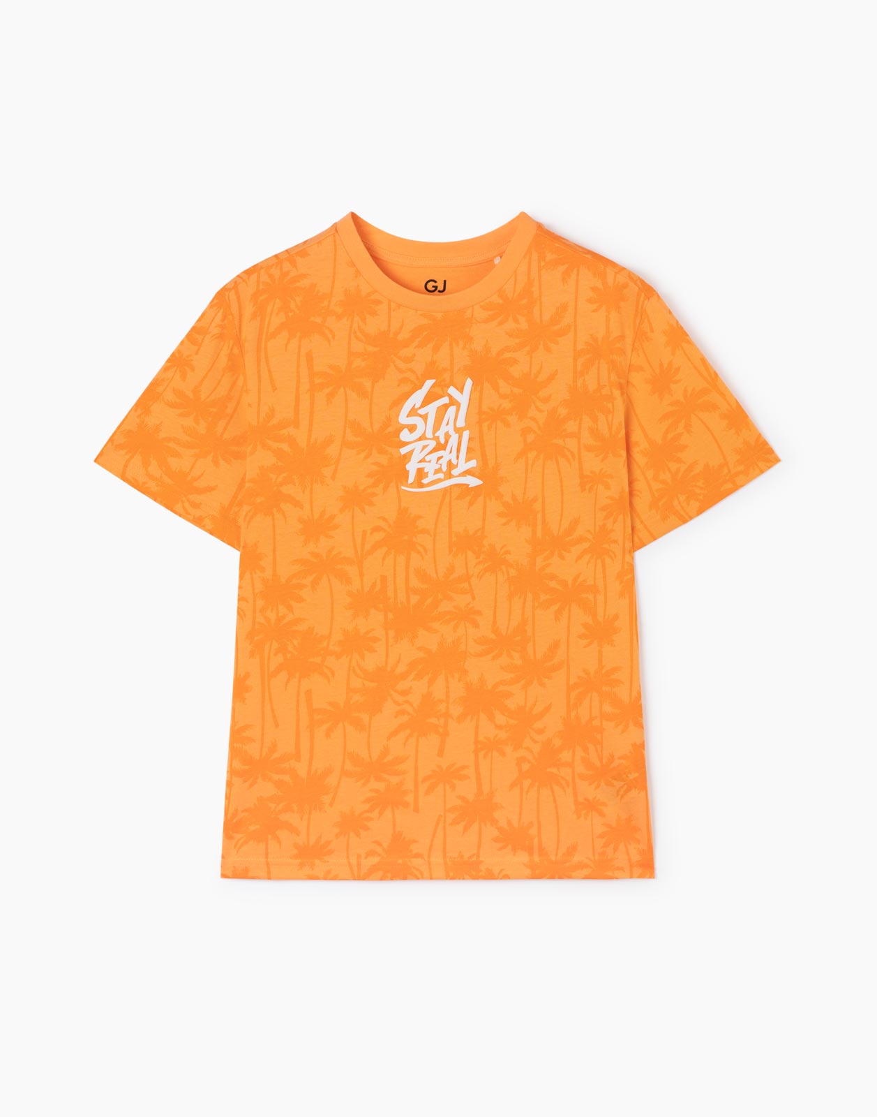 Оранжевая футболка Stay real с принтом для мальчика 10-12л/146-152, Оранжевый, BKT012399
Оранжевая футболка Stay real с принтом для мальчика 10-12л/146-152, Оранжевый, BKT012399