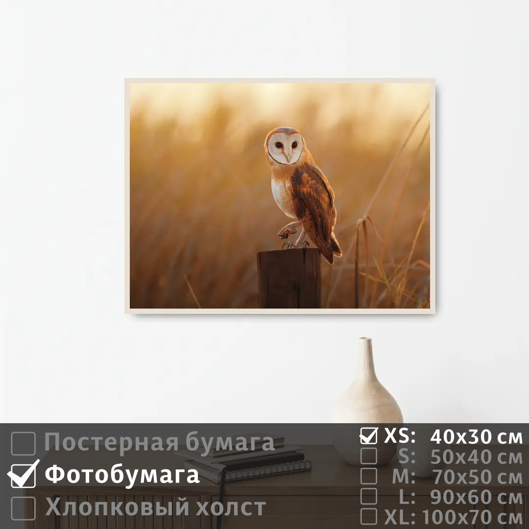 Постер на фотобумаге ПолиЦентр Сова сидит на столбе смотрит вдаль 40х30 см, СоваСидитНаСтолбеСмотритВдаль
Постер на фотобумаге ПолиЦентр Сова сидит на столбе смотрит вдаль 40х30 см, СоваСидитНаСтолбеСмотритВдаль