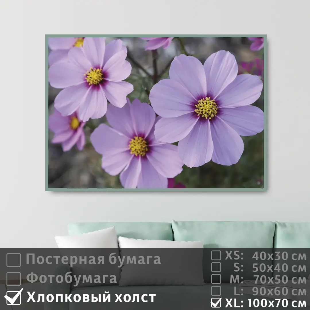 Постер на холсте ПолиЦентр Летние сиреневые цветы 100х70 см, ЛетниеСиреневыеЦветы1
Постер на холсте ПолиЦентр Летние сиреневые цветы 100х70 см, ЛетниеСиреневыеЦветы1