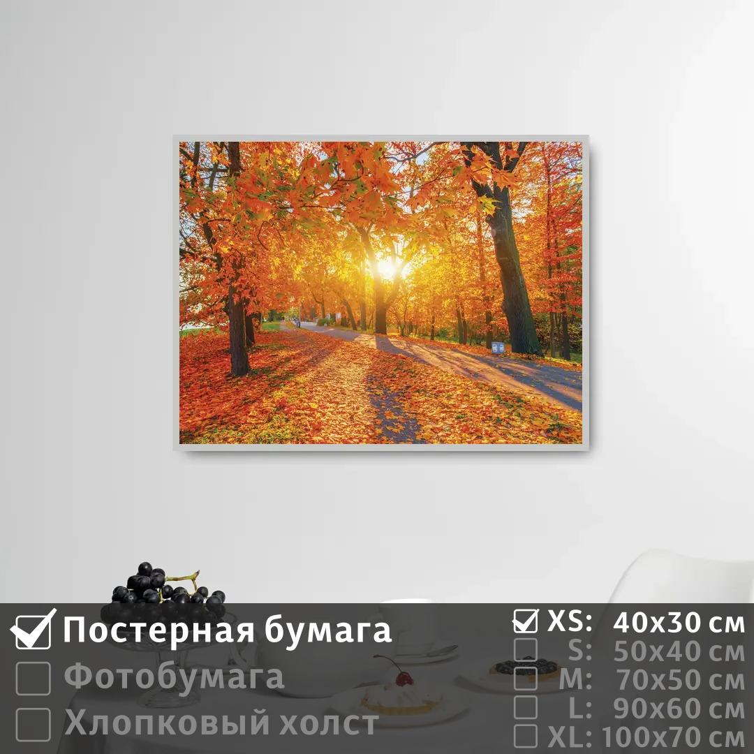 Постер на стену ПолиЦентр Рассвет в осеннем парке 40х30 см, РассветВОсеннемПарке
Постер на стену ПолиЦентр Рассвет в осеннем парке 40х30 см, РассветВОсеннемПарке