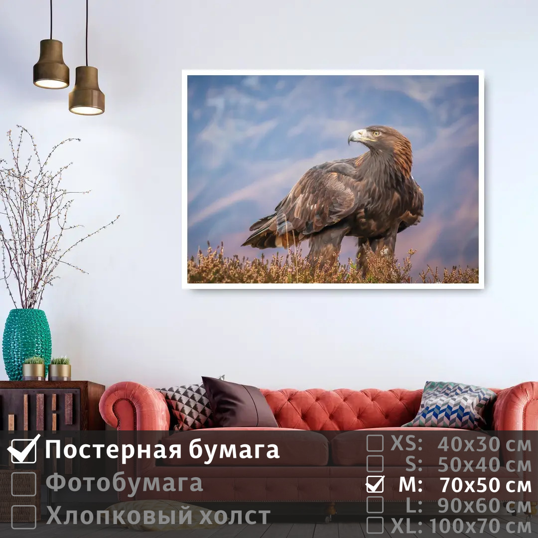 Постер на стену ПолиЦентр Хищная птица смотрит вдаль 70х50 см, ХищнаяПтицаСмотритВдаль
Постер на стену ПолиЦентр Хищная птица смотрит вдаль 70х50 см, ХищнаяПтицаСмотритВдаль