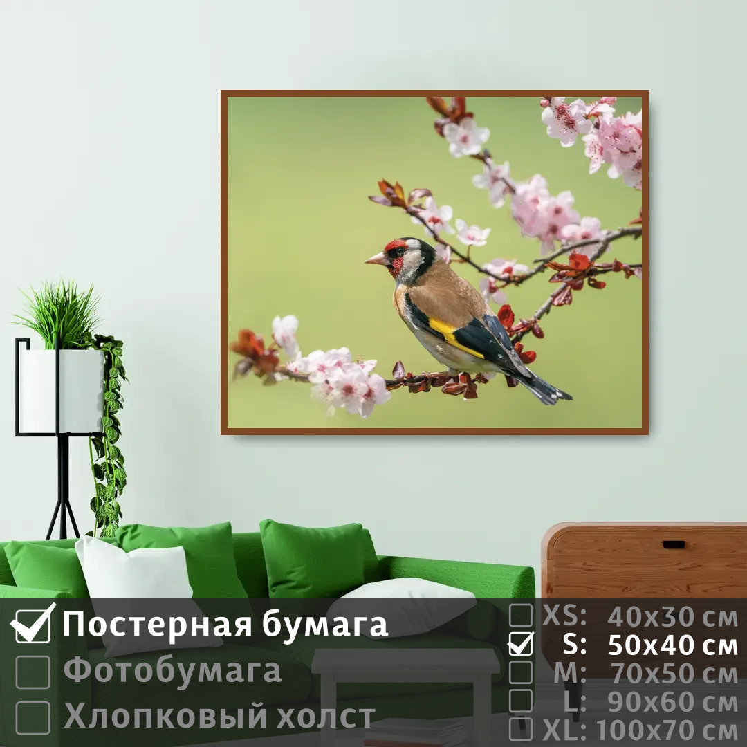 Постер на стену ПолиЦентр Птица зяблик сидит на цветущей ветке 50х40 см, ПтицаЗябликСидитНаЦветущейВетке
Постер на стену ПолиЦентр Птица зяблик сидит на цветущей ветке 50х40 см, ПтицаЗябликСидитНаЦветущейВетке