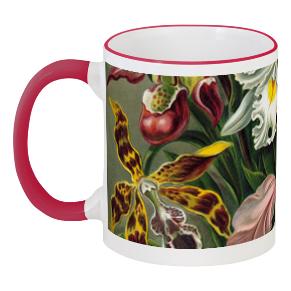 Кружка Printio с цветной ручкой и ободком Орхидеи (orchideae, ernst haeckel), Разноцветный
Кружка Printio с цветной ручкой и ободком Орхидеи (orchideae, ernst haeckel), Разноцветный