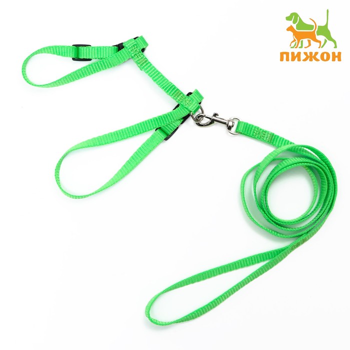 Комплект для кошек, ширина 1 см, ОШ 16,5-27 см, ОГ 21-35 см, поводок 120 см, зелёный
Комплект для кошек, ширина 1 см, ОШ 16,5-27 см, ОГ 21-35 см, поводок 120 см, зелёный