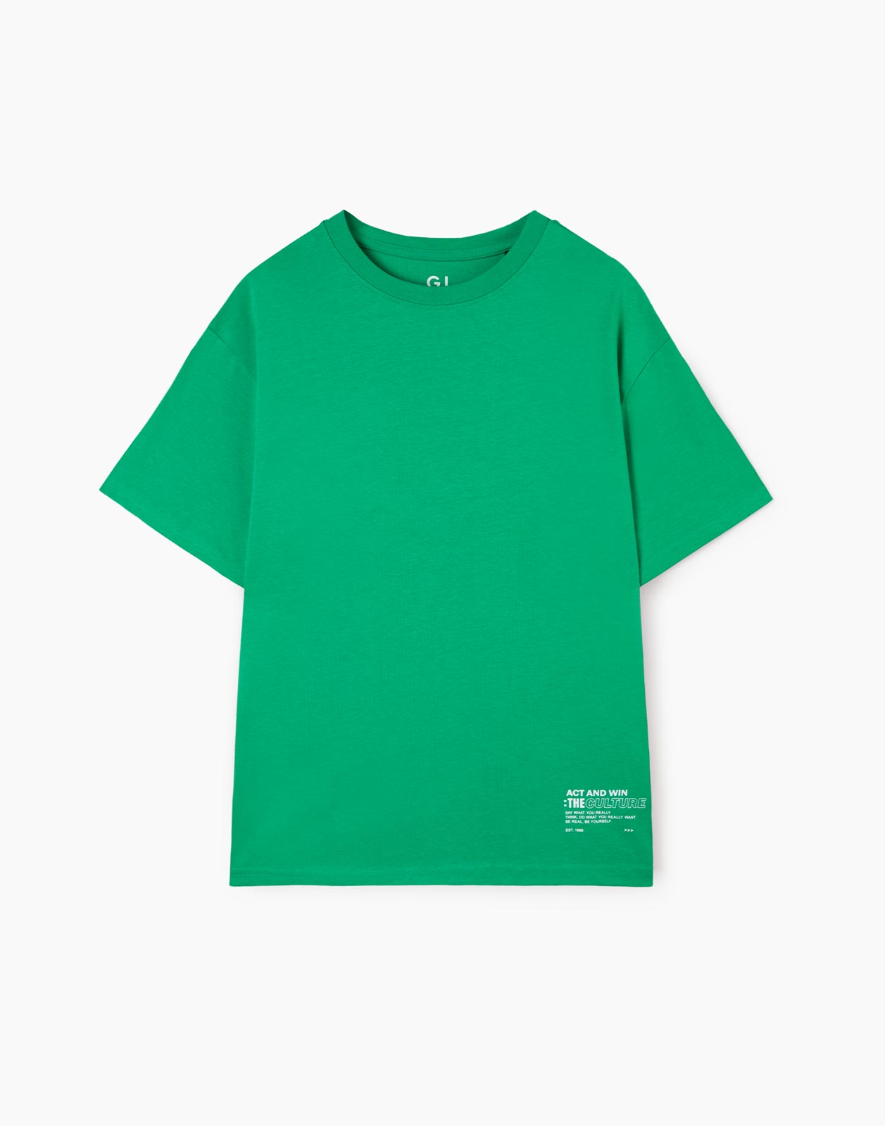 Зелёная базовая футболка oversize с надписями для мальчика 5-6л/116, Зеленый, BKT012192
Зелёная базовая футболка oversize с надписями для мальчика 5-6л/116, Зеленый, BKT012192