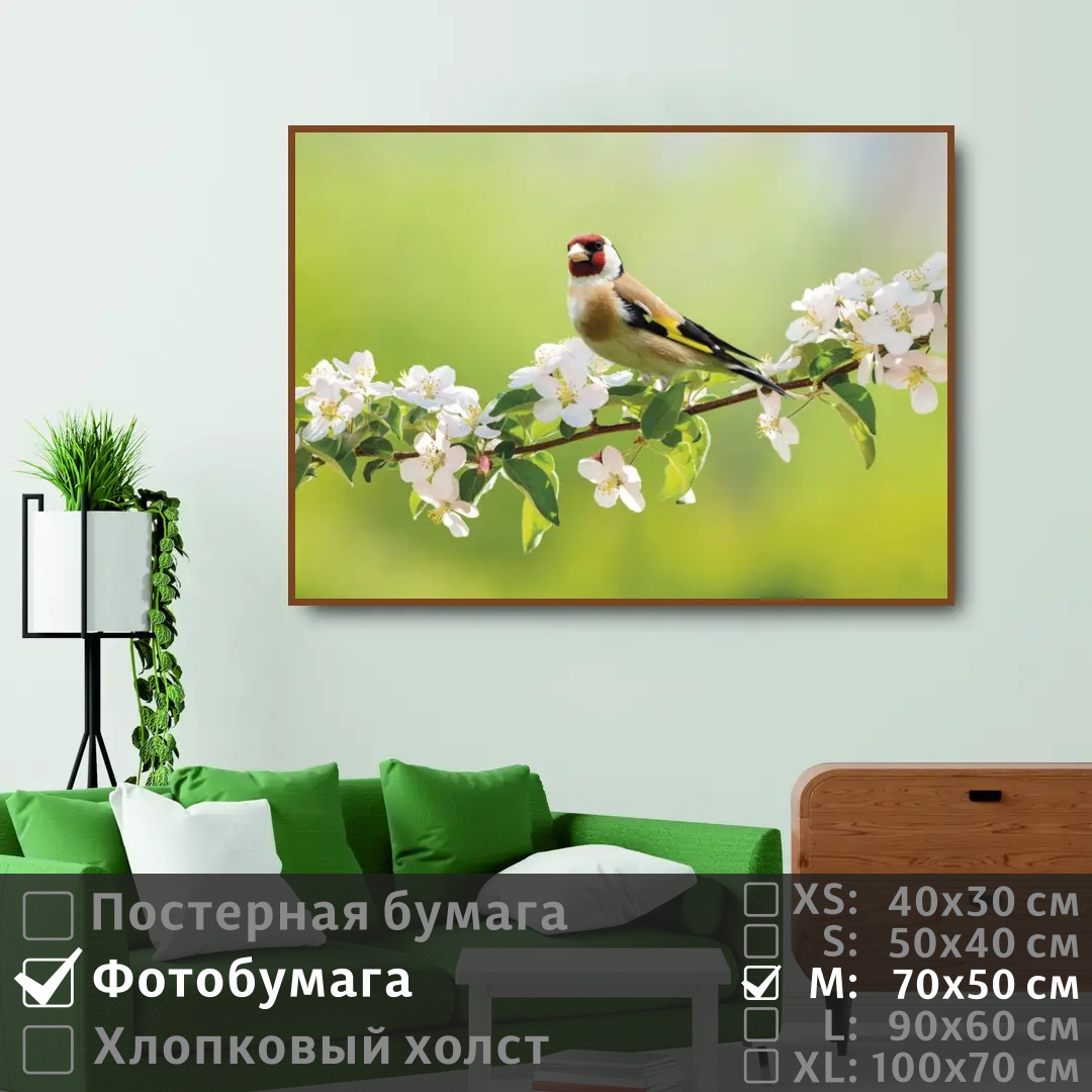 Постер на фотобумаге ПолиЦентр Птица щегол сидит на ветке с белыми цветами 70х50 см, ПтицаЩеголСидитНаВеткеСБелымиЦветами
Постер на фотобумаге ПолиЦентр Птица щегол сидит на ветке с белыми цветами 70х50 см, ПтицаЩеголСидитНаВеткеСБелымиЦветами