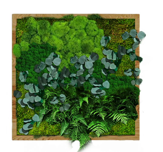 Панно для интерьера GardenGo 90х90см из натурального стабилизированного мха зеленого цвета, 15
Панно для интерьера GardenGo 90х90см из натурального стабилизированного мха зеленого цвета, 15
