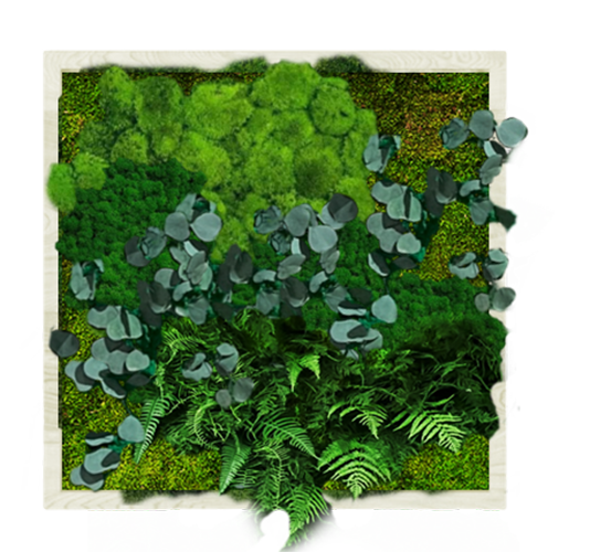 Панно для интерьера GardenGo 50х50см из натурального стабилизированного мха, 15
Панно для интерьера GardenGo 50х50см из натурального стабилизированного мха, 15