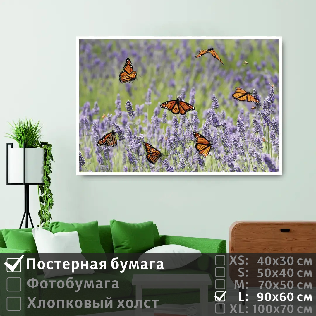 Постер на стену ПолиЦентр Бабочки пархают над лавандами 90х60 см, БабочкиПархаютНадЛавандами
Постер на стену ПолиЦентр Бабочки пархают над лавандами 90х60 см, БабочкиПархаютНадЛавандами