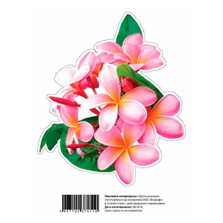 Декоративная наклейка Golden Snail Цветы розовые
Декоративная наклейка Golden Snail Цветы розовые