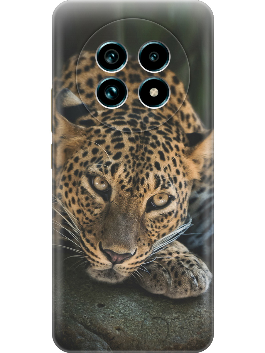 Силиконовый чехол на Realme 13 Pro+ с принтом "Загадочный леопард", Прозрачный;черный;коричневый;оранжевый, 784808513
Силиконовый чехол на Realme 13 Pro+ с принтом "Загадочный леопард", Прозрачный;черный;коричневый;оранжевый, 784808513