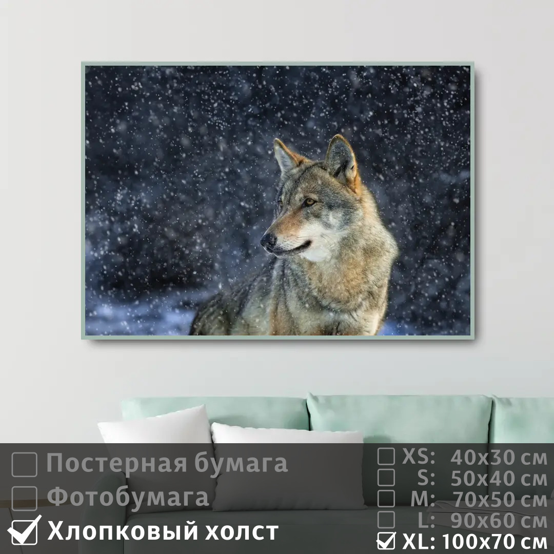 Постер на холсте ПолиЦентр Одинокий волк в зимнем лесу 100х70 см, ОдинокийВолкВЗимнемЛесу1
Постер на холсте ПолиЦентр Одинокий волк в зимнем лесу 100х70 см, ОдинокийВолкВЗимнемЛесу1