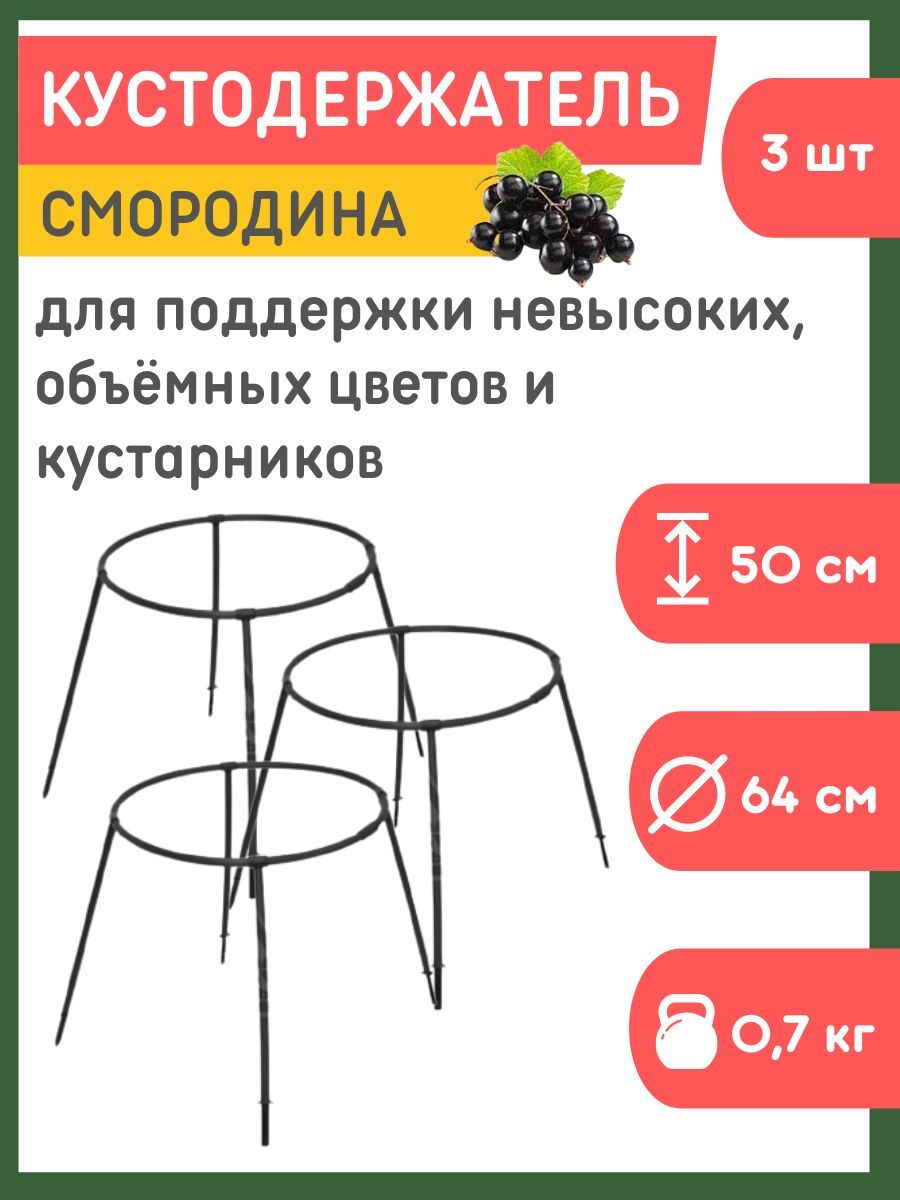 Кустодержатель смородина опора для растений держатель пластмассовый d-64 см h-50 см набор
Кустодержатель смородина опора для растений держатель пластмассовый d-64 см h-50 см набор