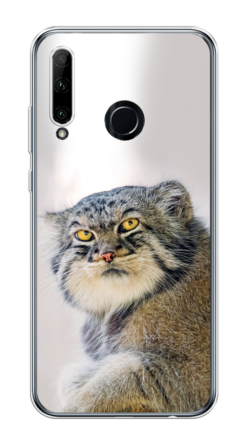 Чехол на Honor 10i/20e/Huawei P Smart Plus 2019 "Кот манул 1", Серый;белый;желтый, 69250-1
Чехол на Honor 10i/20e/Huawei P Smart Plus 2019 "Кот манул 1", Серый;белый;желтый, 69250-1