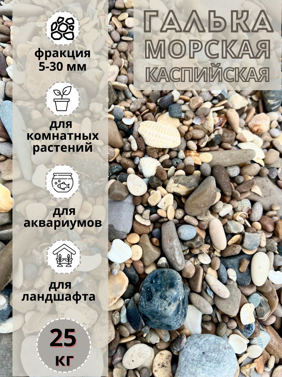 Галька морская каспийская 5-30 мм (25кг) для сада и огорода и ландшафтного дизайна, Разноцветный, галькакаспий
Галька морская каспийская 5-30 мм (25кг) для сада и огорода и ландшафтного дизайна, Разноцветный, галькакаспий