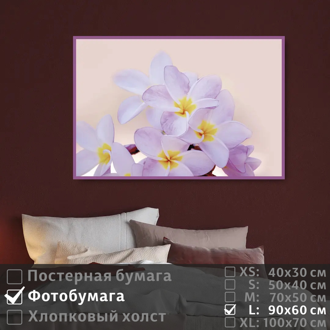Постер на фотобумаге ПолиЦентр Нежные тропические цветы 90х60 см, НежныеТропическиеЦветы
Постер на фотобумаге ПолиЦентр Нежные тропические цветы 90х60 см, НежныеТропическиеЦветы