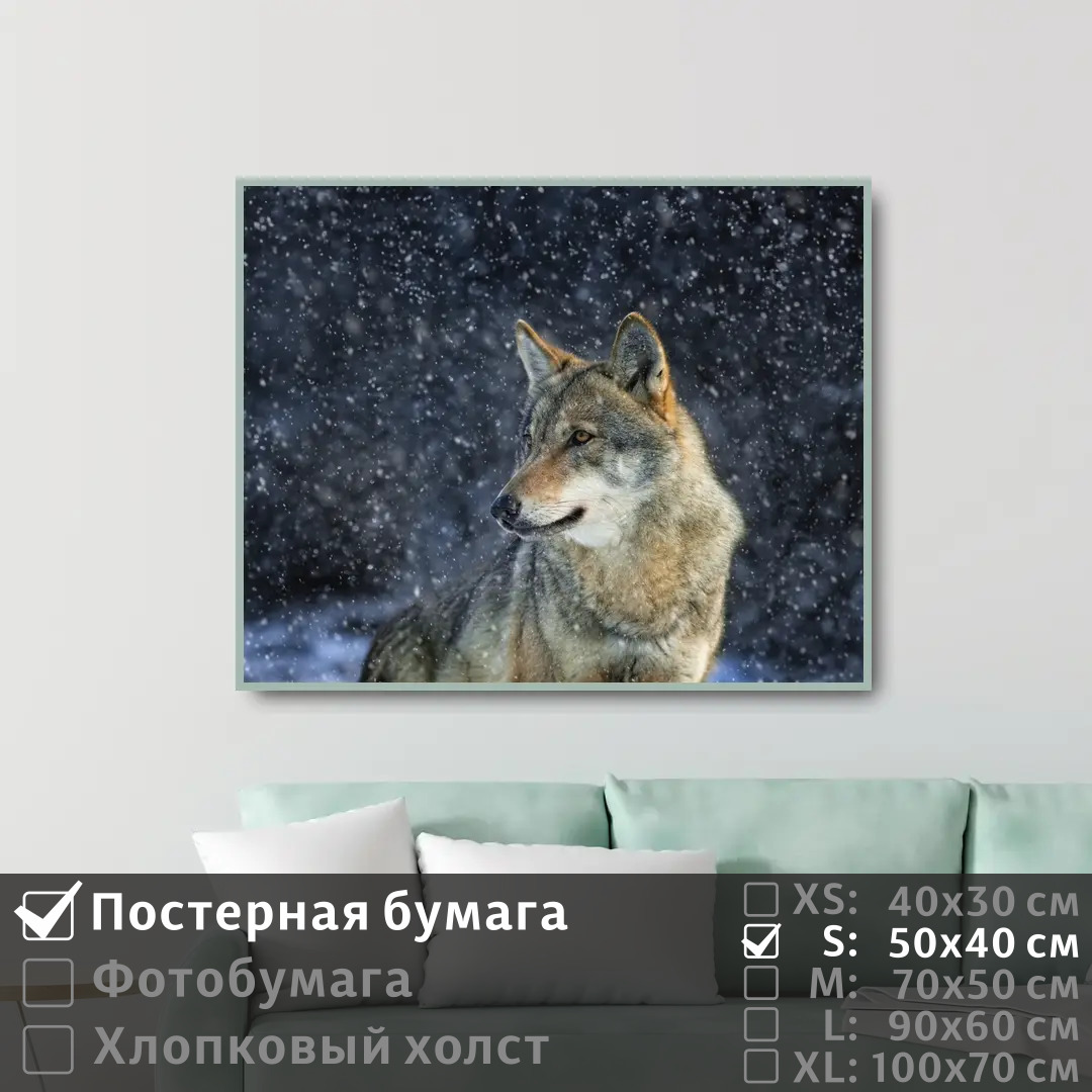 Постер на стену ПолиЦентр Одинокий волк в зимнем лесу 50х40 см, ОдинокийВолкВЗимнемЛесу
Постер на стену ПолиЦентр Одинокий волк в зимнем лесу 50х40 см, ОдинокийВолкВЗимнемЛесу