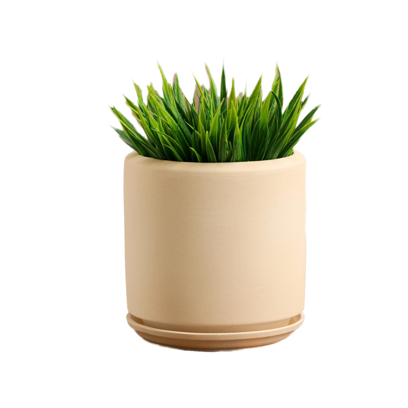 Горшок для цветов "Линос", круглый, матовый, бежевый, 0.8 л
Горшок для цветов "Линос", круглый, матовый, бежевый, 0.8 л